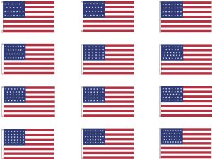 United States Historical Flag, All Styles